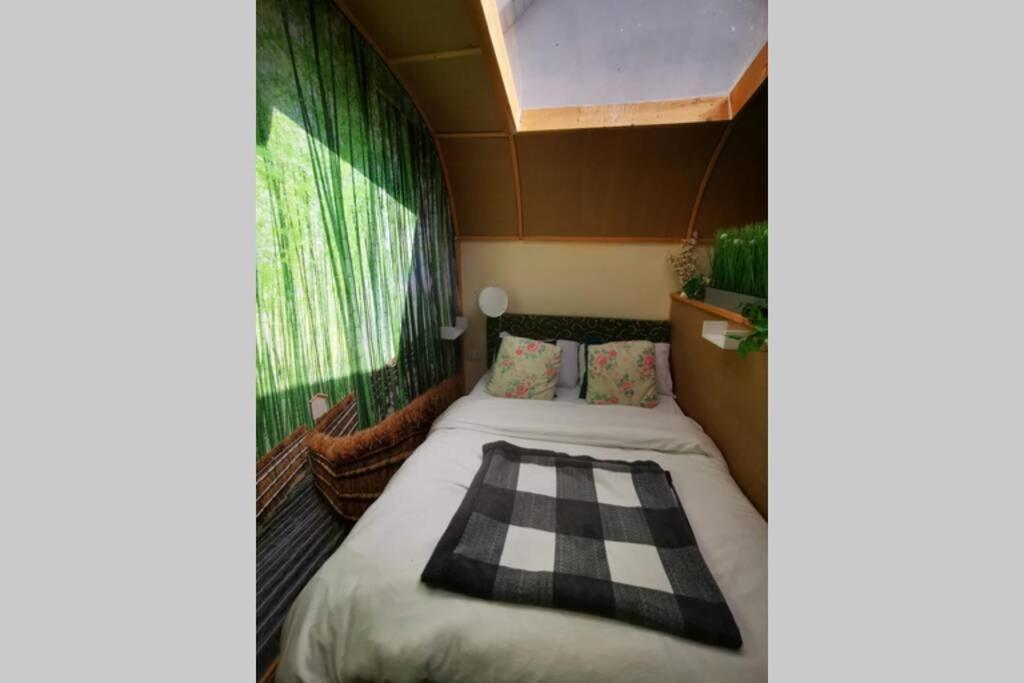 Lazy Lodge Glamping Pod With Hot Tub Port Laoise Exterior photo